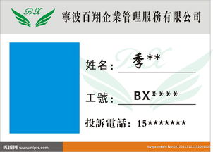 寧波百翔企業管理服務 專業賦能，助力企業穩健前行