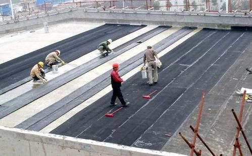 青浦區外墻防水服務與建筑勞務分包 同心協力，共筑品質